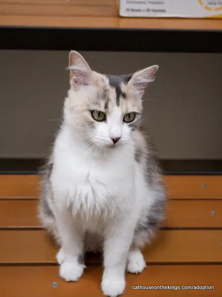 Delilah image 3