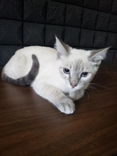 Photo 3 of Luna