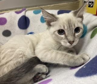 Photo 4 of Luna
