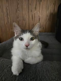 Theodore