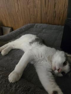 Photo 4 of Theodore