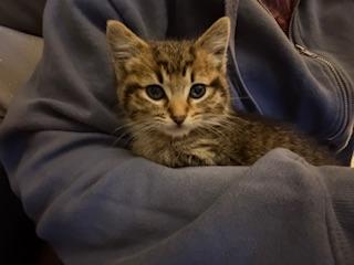 Photo 4 of Butterfinger