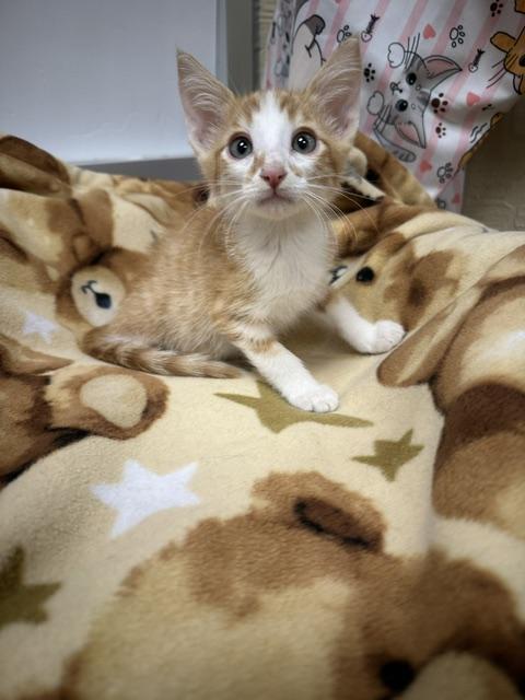 Photo 2 of Colby