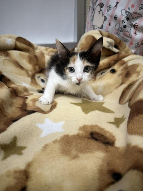 Photo 2 of Winnie