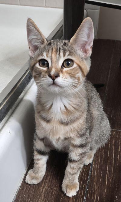 Ellie