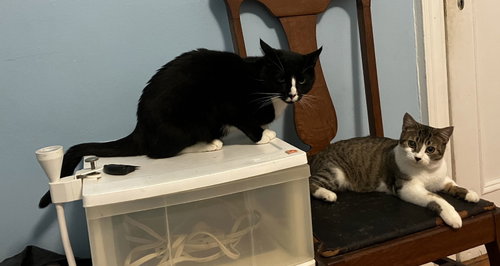 Photo 3 of Charlie and Farrah