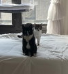 Charlie and Farrah - Photo 5
