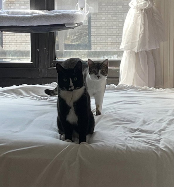 Charlie and Farrah