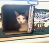 Rusty and Poe - Photo 6