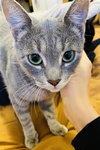 Cosmo and Luna - Photo 9