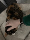 Miss Bean - Photo 2