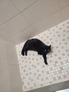 Musique and Zing - Photo 3
