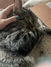 Ricky and Lucy - Photo 2
