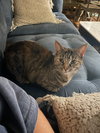 Ricky and Lucy - Photo 3