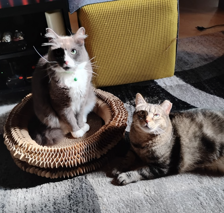 Willow and Flopper Image