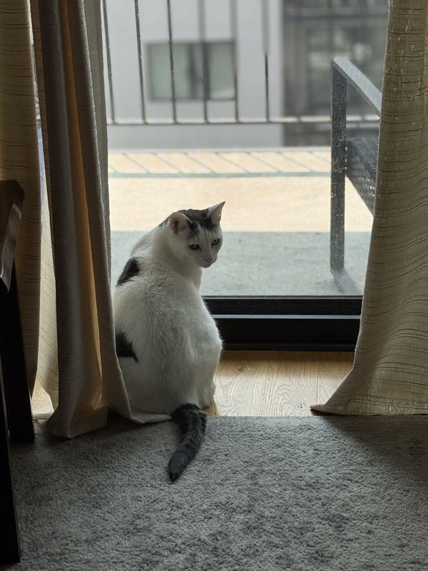 Logan