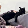 Frank aka Black Panther - Photo 6