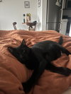 Frank aka Black Panther - Photo 3