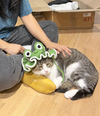 Jumbo - Photo 2