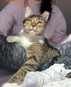 Greysen - Photo 3