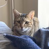 Raisinette - Photo 3