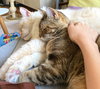 Raisinette - Photo 2