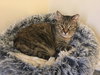 Ella - Photo 3