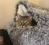 Ella - Photo 4