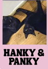 adoptable Cat in brooklyn, NY named Hanky and Panky