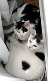 Lunabelle - Photo 3