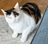 Lunabelle - Photo 4