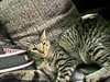Zoe - Photo 9