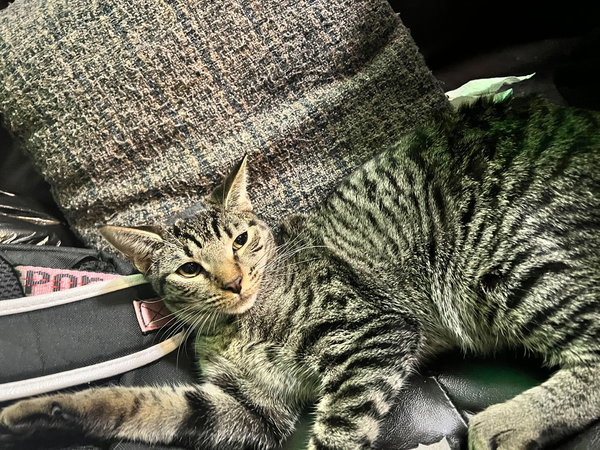 Zoe