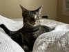 Zoe - Photo 3