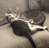 Sweet Cheeks and Toots - Photo 3