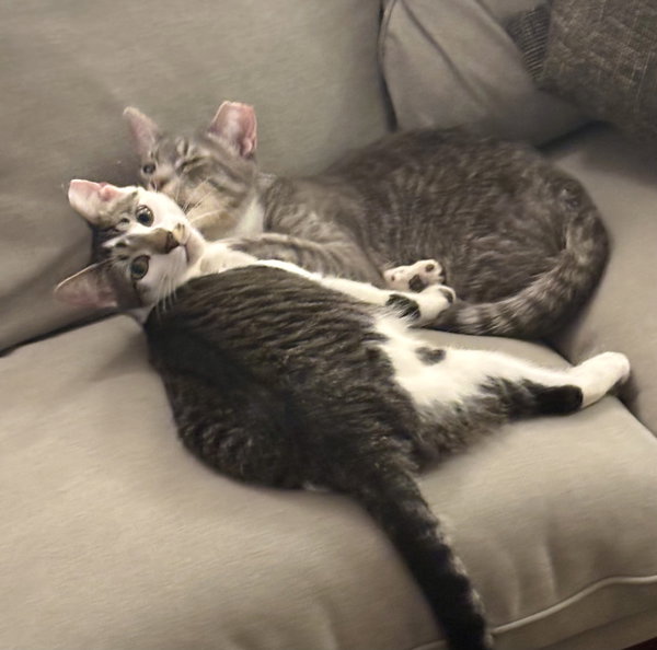 Sweet Cheeks and Toots