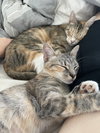 June and Bug - Photo 1