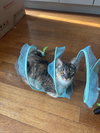 June and Bug - Photo 3