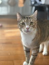 June and Bug - Photo 2