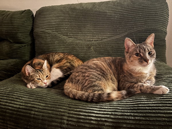 June and Bug