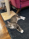 Doreen - Photo 6