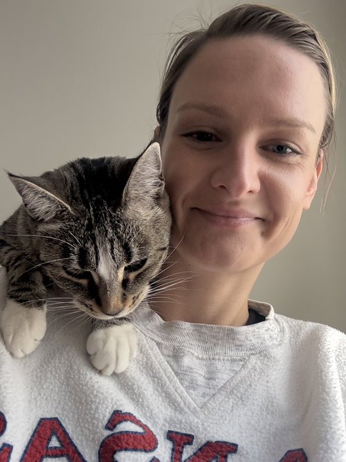 DOREEN - Domestic Short Hair available for adoption
