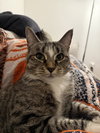 Doreen - Photo 4