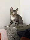 Doreen - Photo 3