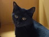 Annabelle and Tickety-Boo - Photo 3