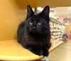 Annabelle and Tickety-Boo - Photo 2