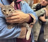 Biz and Zinc! - Photo 3