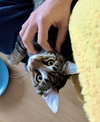 Biz and Zinc! - Photo 1