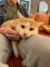 Egbert - Photo 4
