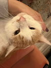 Egbert - Photo 5